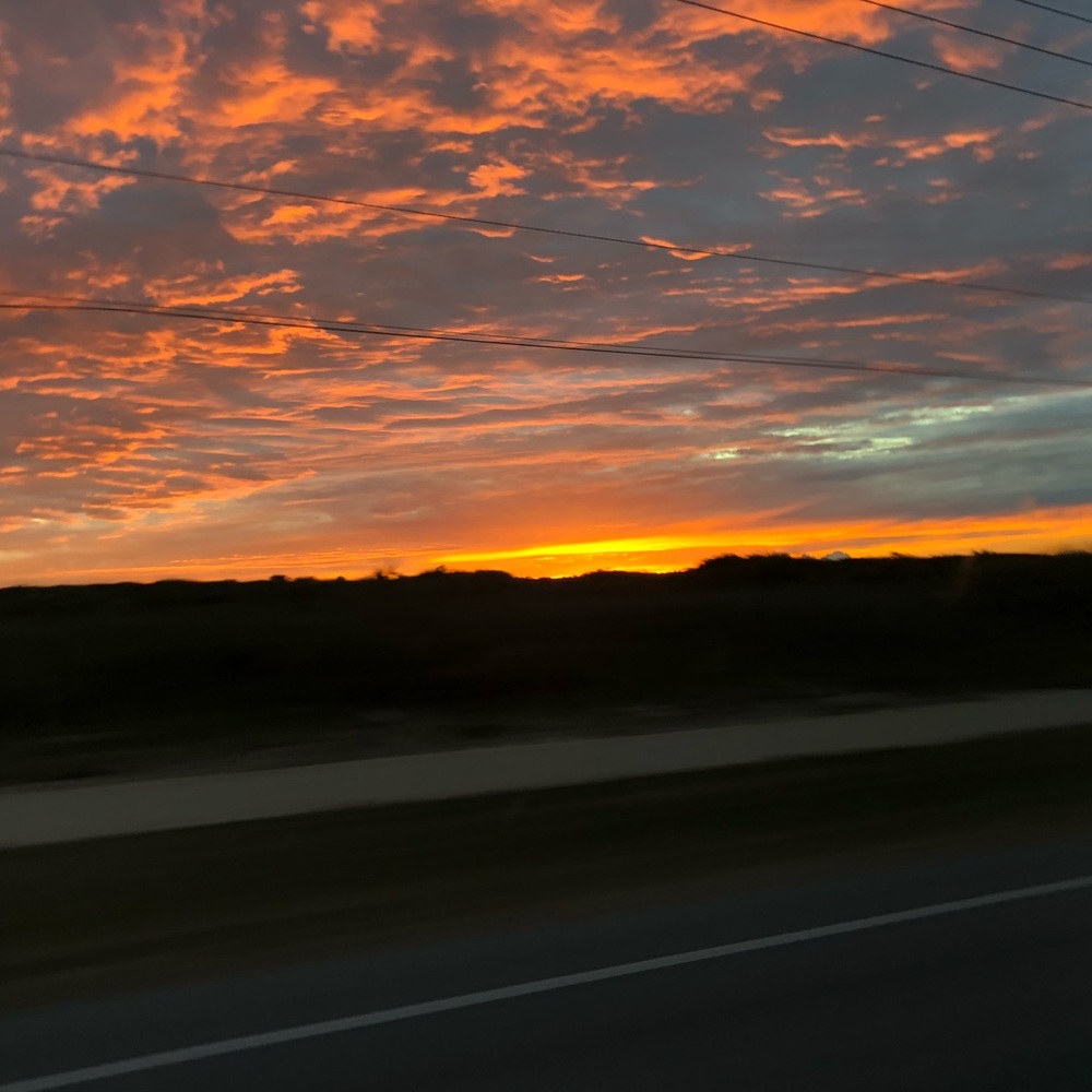 Meet your Posher, Alealexis